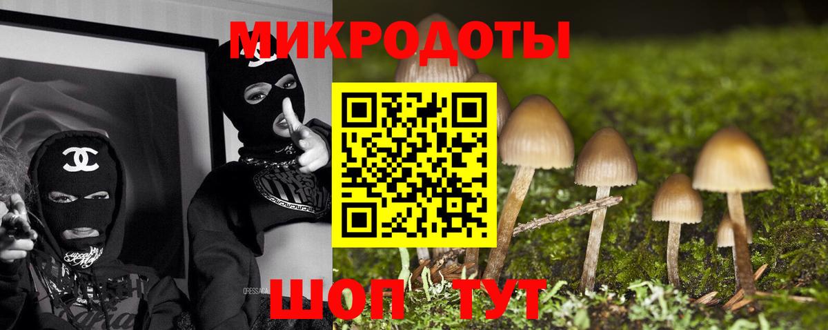 Кондопога  Галлюциногенные грибы мицелий  Вход с VPN 